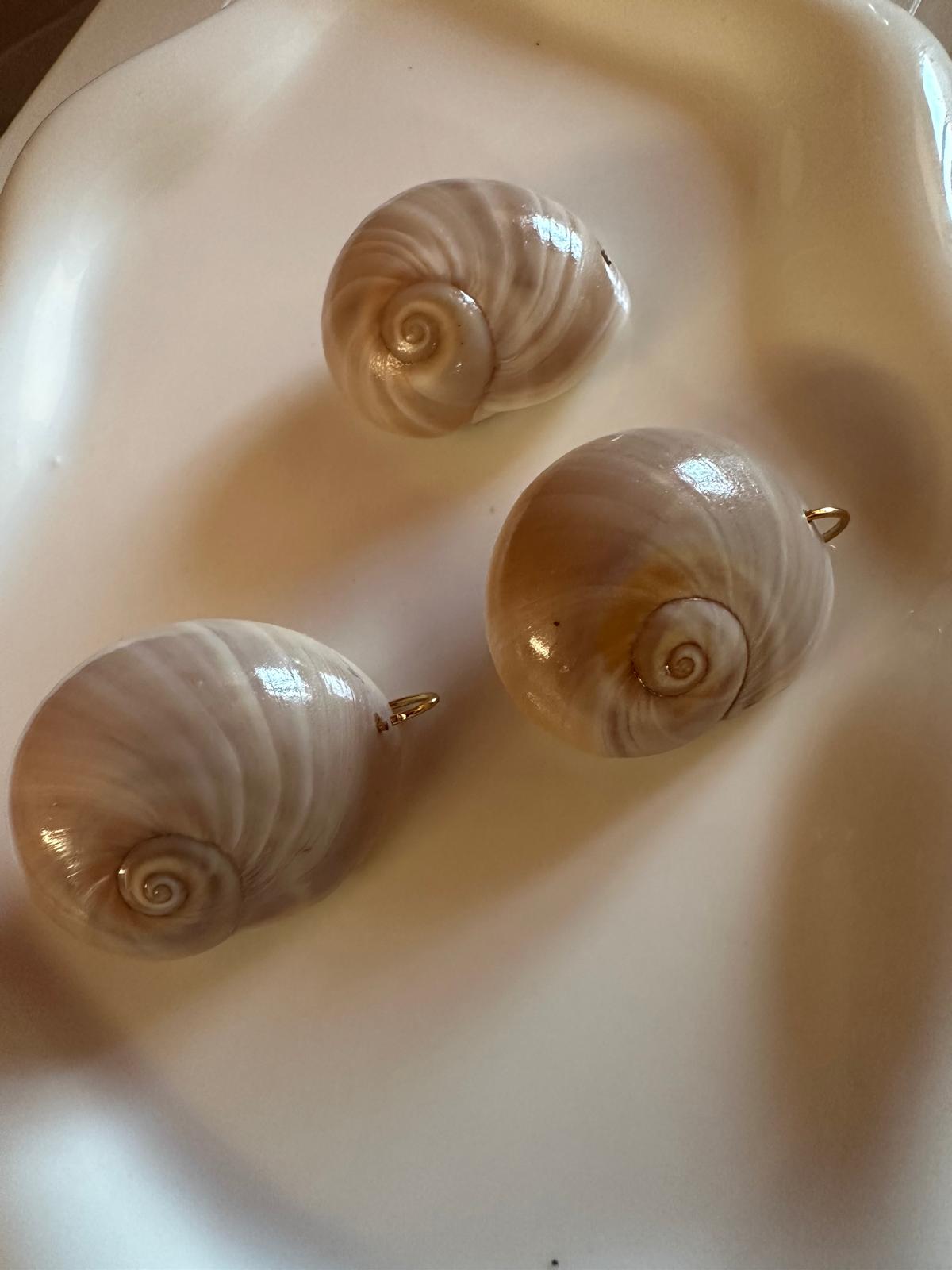 Ciondolo Conchiglia