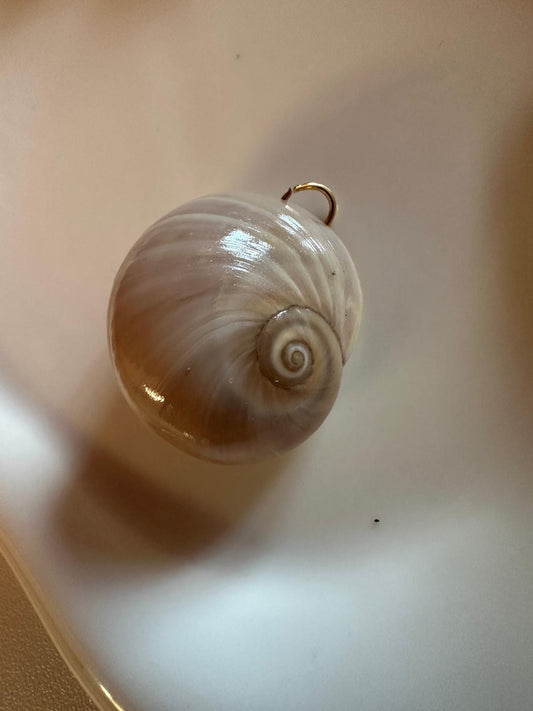 Ciondolo Conchiglia