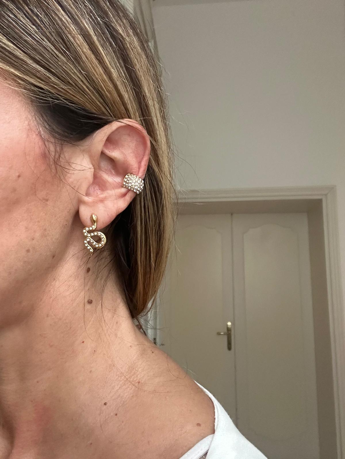 Orecchini in acciaio inossidabile e zirconi anallergici e waterproof "Eden"