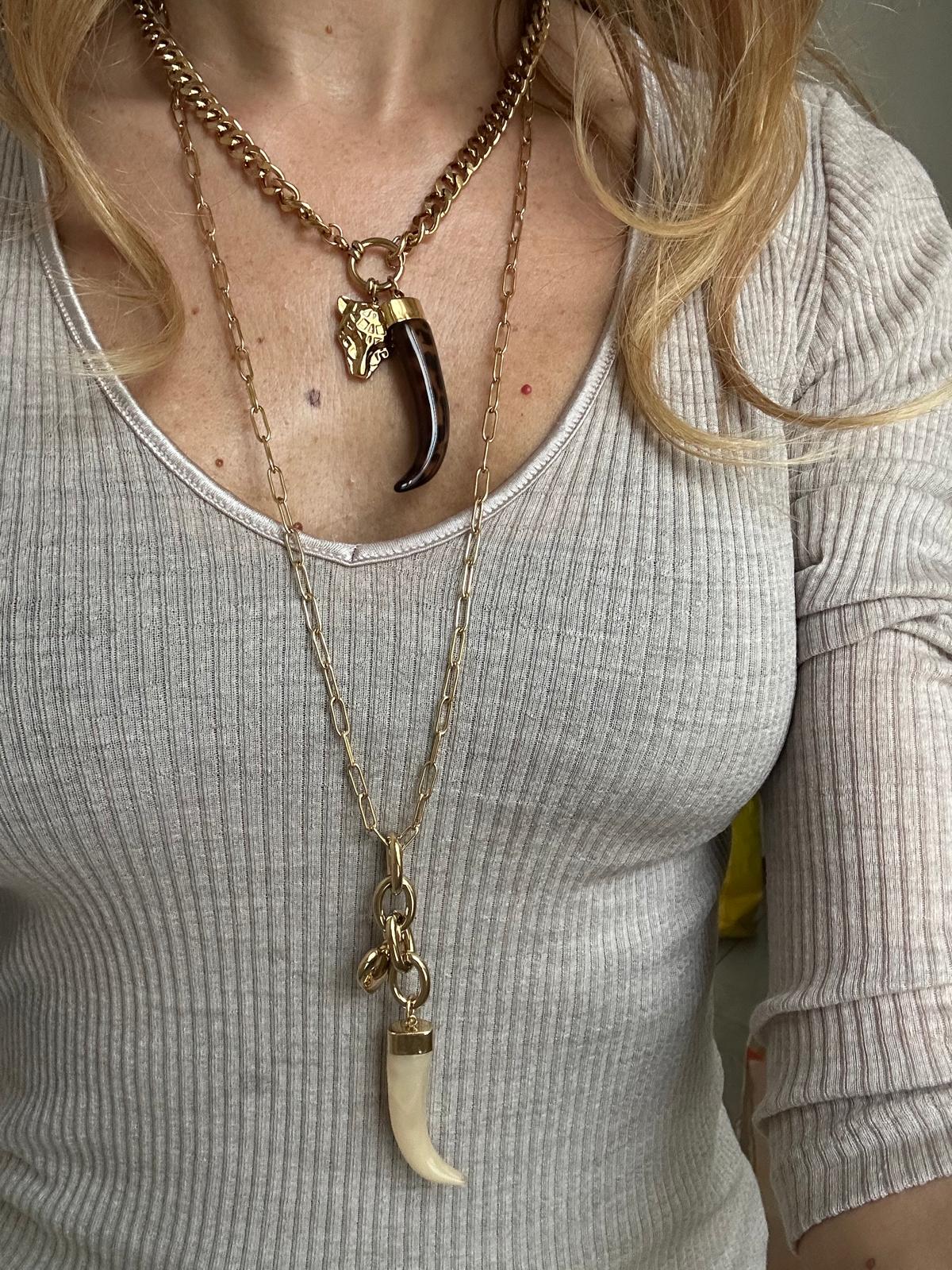 Collana in acciaio inossidabile anallergico e waterproof "Tiger"