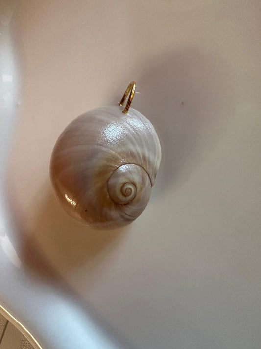 Ciondolo Conchiglia