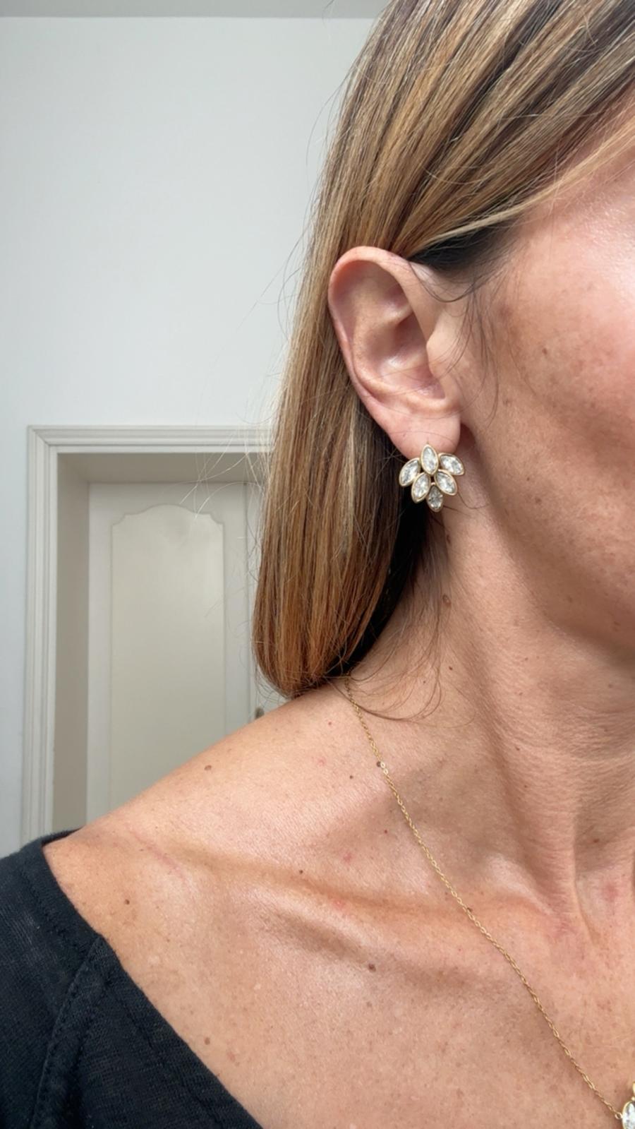 Orecchini in acciaio inossidabile e zirconi anallergici e waterproof "Sirio"